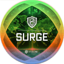 BasaltSurge - Web3 Native Payment Settlements