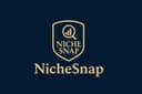 NicheSnap - Niche Market Discovery and Analysis