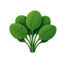 Embed Review - Display Google Reviews